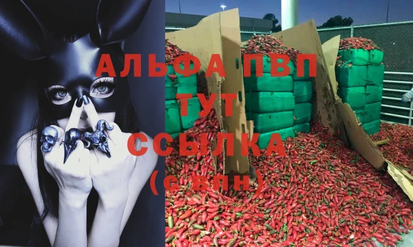 стафф Алзамай