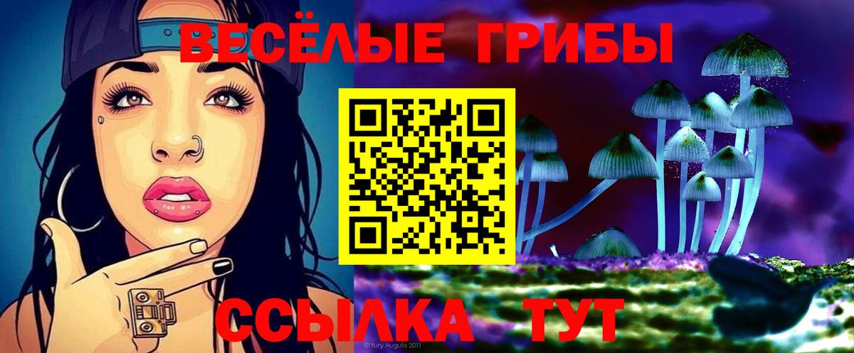 Галлюциногенные грибы Psilocybe Моздок